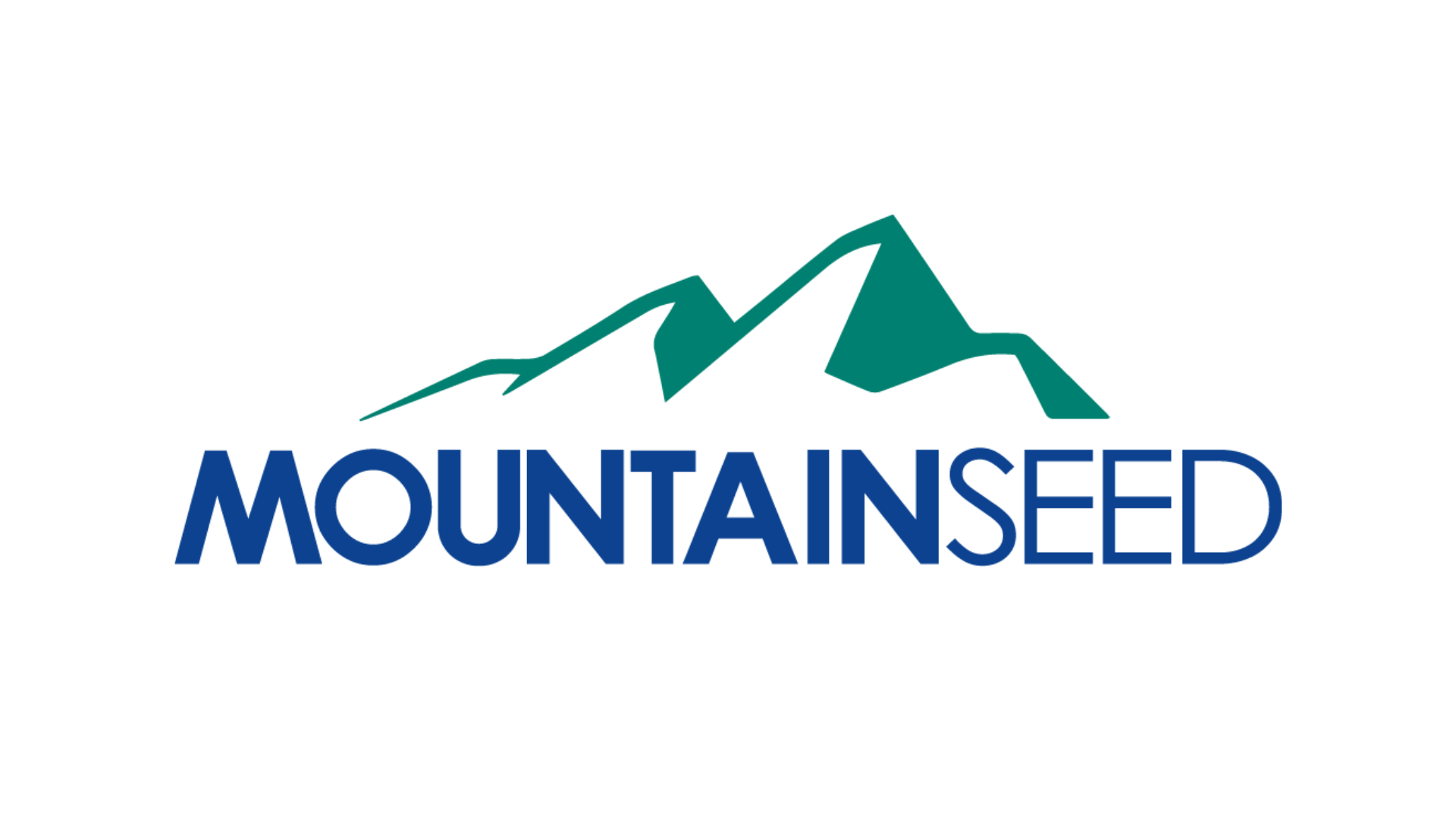 MountainSeed raises $38m to push AI into community bank valuations