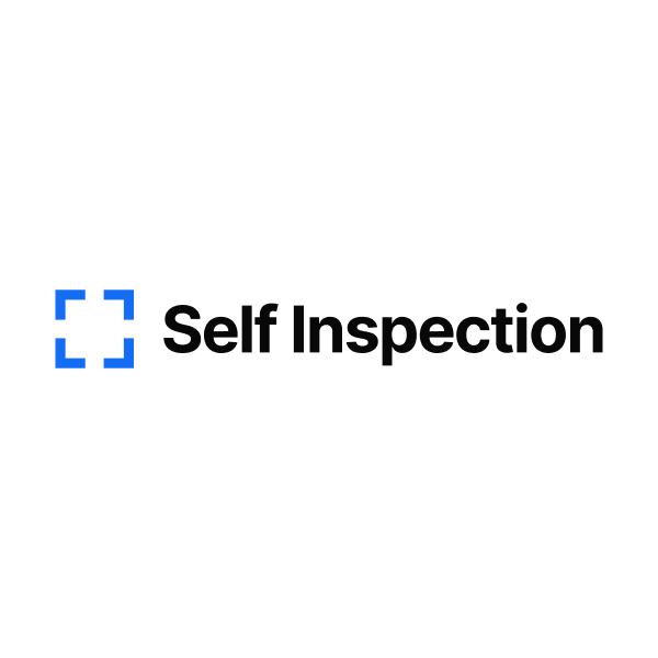 Self Inspection raises $10m to unify vehicle condition data