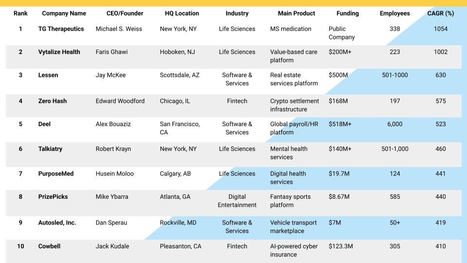  Top 10 Superscalers - Deloitte Fast 500 2024 