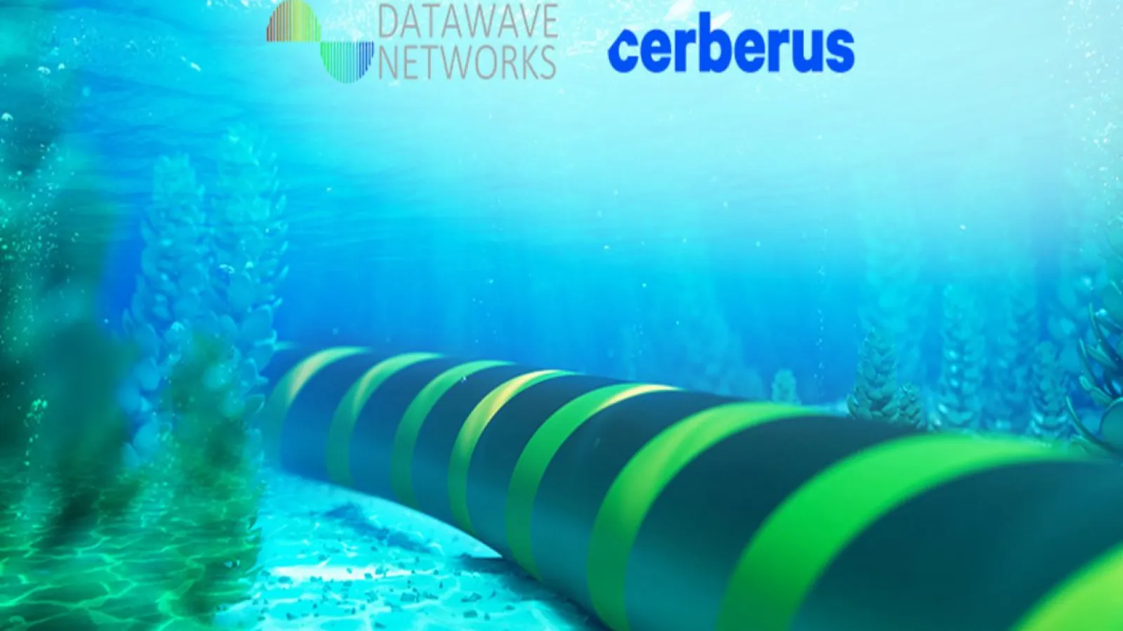 Datawave Partners with Cerberus to Develop Singapore–India–Gulf (SING) Subsea Cable System