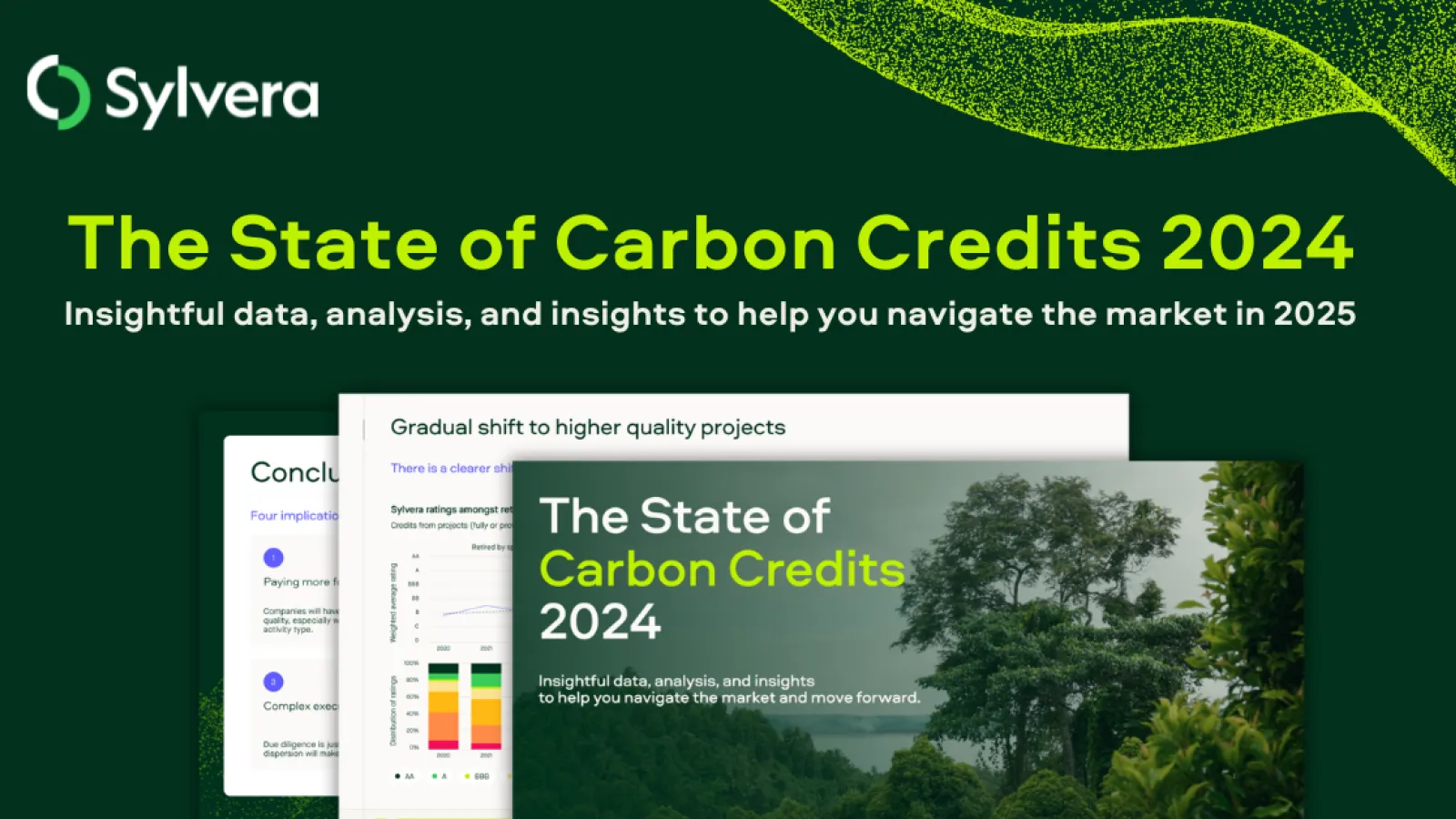 Carbon markets returned to growth in 2024 as part of ‘gradual but significant transition’, Sylvera finds