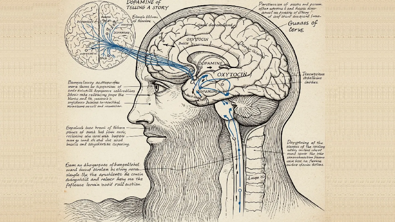 The Neuroscience of Storytelling: How Leaders Can Build Lasting Connections